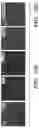 Fig. 37 - Methods and compositions for enhancing cardiomyocyte maturation and engraftment