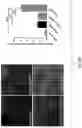 Fig. 49 - Methods and compositions for enhancing cardiomyocyte maturation and engraftment