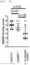 Fig. 05 - TISSUE HEALING AGENT