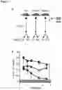 Fig. 09 - Compositions and methods for modulating growth of a genetically modified gut bacterial cell