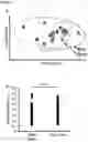 Fig. 19 - Compositions and methods for modulating growth of a genetically modified gut bacterial cell