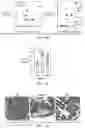 Fig. 03 - Methods and compositions for reducing infection or colonization