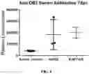 Fig. 11 - EXPRESSION OF PTEN-LONG WITH OCOLYTIC VIRUSES