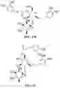 Fig. 05 - Tecoma plant based compositions for treating skin lesions