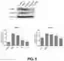 Fig. 06 - Method of using a rosemary extract composition for weight management