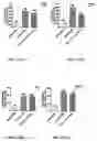 Fig. 08 - Herbal composition