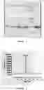 Fig. 02 - Method of treating a liver disease comprising administering ostreolysin orfunctionally related variant thereof