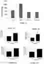 Fig. 10 - Method of treating a liver disease comprising administering ostreolysin orfunctionally related variant thereof