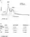 Fig. 16 - Method of treating a liver disease comprising administering ostreolysin orfunctionally related variant thereof