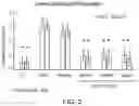 Fig. 03 - Adiponectin peptidomimetics for treating ocular disorders