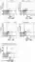 Fig. 07 - Adiponectin peptidomimetics for treating ocular disorders