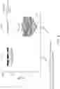 Fig. 18 - PEPTIDOMIMETIC MACROCYCLES AND USES THEREOF