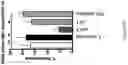 Fig. 34 - Inhibitors of LTβR-NFκB signaling pathways for treating inflammation and cancer