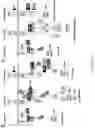 Fig. 43 - Inhibitors of LTβR-NFκB signaling pathways for treating inflammation and cancer