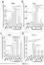 Fig. 44 - Inhibitors of LTβR-NFκB signaling pathways for treating inflammation and cancer