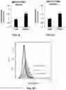 Fig. 11 - Methods of inducing immune tolerance to clotting factors