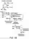 Fig. 09 - Mutant huntingtin-mediated protein dysfunction
