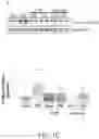 Fig. 04 - Compositions and methods for treatment of uremic cardiomyopathy
