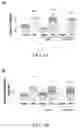 Fig. 09 - Compositions and methods for treatment of uremic cardiomyopathy