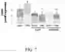 Fig. 17 - Compositions and methods for treatment of uremic cardiomyopathy