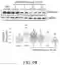 Fig. 23 - Compositions and methods for treatment of uremic cardiomyopathy