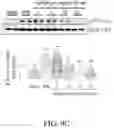 Fig. 24 - Compositions and methods for treatment of uremic cardiomyopathy