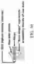 Fig. 27 - Compositions and methods for treatment of uremic cardiomyopathy