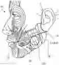 Fig. 01 - METHODS FOR TREATMENT OF MASSETER MUSCLE HYPERTROPHY
