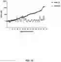 Fig. 16 - COMPOSITIONS AND METHODS FOR TREATING NRP2-ASSOCIATED DISEASES