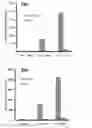 Fig. 23 - COMPOSITIONS AND METHODS FOR TREATING NRP2-ASSOCIATED DISEASES