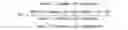 Fig. 02 - HUMAN APPLICATION OF ENGINEERED CHIMERIC ANTIGEN RECEPTOR (CAR) T-CELLS