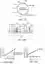 Fig. 23 - HUMAN APPLICATION OF ENGINEERED CHIMERIC ANTIGEN RECEPTOR (CAR) T-CELLS
