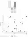 Fig. 24 - HUMAN APPLICATION OF ENGINEERED CHIMERIC ANTIGEN RECEPTOR (CAR) T-CELLS