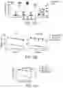 Fig. 41 - HUMAN APPLICATION OF ENGINEERED CHIMERIC ANTIGEN RECEPTOR (CAR) T-CELLS