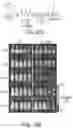 Fig. 59 - HUMAN APPLICATION OF ENGINEERED CHIMERIC ANTIGEN RECEPTOR (CAR) T-CELLS