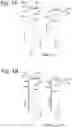 Fig. 02 - Bordetella vaccines comprising LPS with reduced reactogenicity