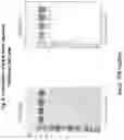 Fig. 07 - Methods and compositions for inducing immune responses against Clostridium difficile
