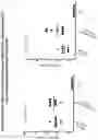 Fig. 16 - Methods and compositions for inducing immune responses against Clostridium difficile
