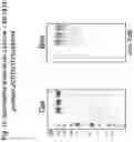 Fig. 23 - Methods and compositions for inducing immune responses against Clostridium difficile