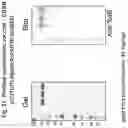 Fig. 25 - Methods and compositions for inducing immune responses against Clostridium difficile