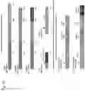 Fig. 27 - Methods and compositions for inducing immune responses against Clostridium difficile