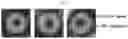 Fig. 05 - VLP-based bivalent Ebola vaccines and methods of making and using same