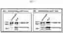 Fig. 03 - VLP-BASED MONOVALENT EBOLA VACCINES AND METHODS OF MAKING AND USING SAME