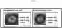 Fig. 05 - VLP-BASED MONOVALENT EBOLA VACCINES AND METHODS OF MAKING AND USING SAME