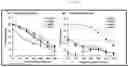 Fig. 07 - VLP-BASED MONOVALENT EBOLA VACCINES AND METHODS OF MAKING AND USING SAME