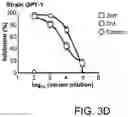 Fig. 08 - Treatment method utilizing chikungunya virus (CHIKV) virus-like particles (VLPS) comprising the C, E2 and E1 structural proteins