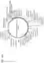 Fig. 31 - Treatment method utilizing chikungunya virus (CHIKV) virus-like particles (VLPS) comprising the C, E2 and E1 structural proteins