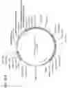 Fig. 91 - Treatment method utilizing chikungunya virus (CHIKV) virus-like particles (VLPS) comprising the C, E2 and E1 structural proteins