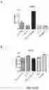 Fig. 04 - Pharmaceutical composition comprising a polymeric carrier cargo complex and at least one protein or peptide antigen