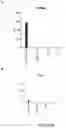 Fig. 07 - Pharmaceutical composition comprising a polymeric carrier cargo complex and at least one protein or peptide antigen
